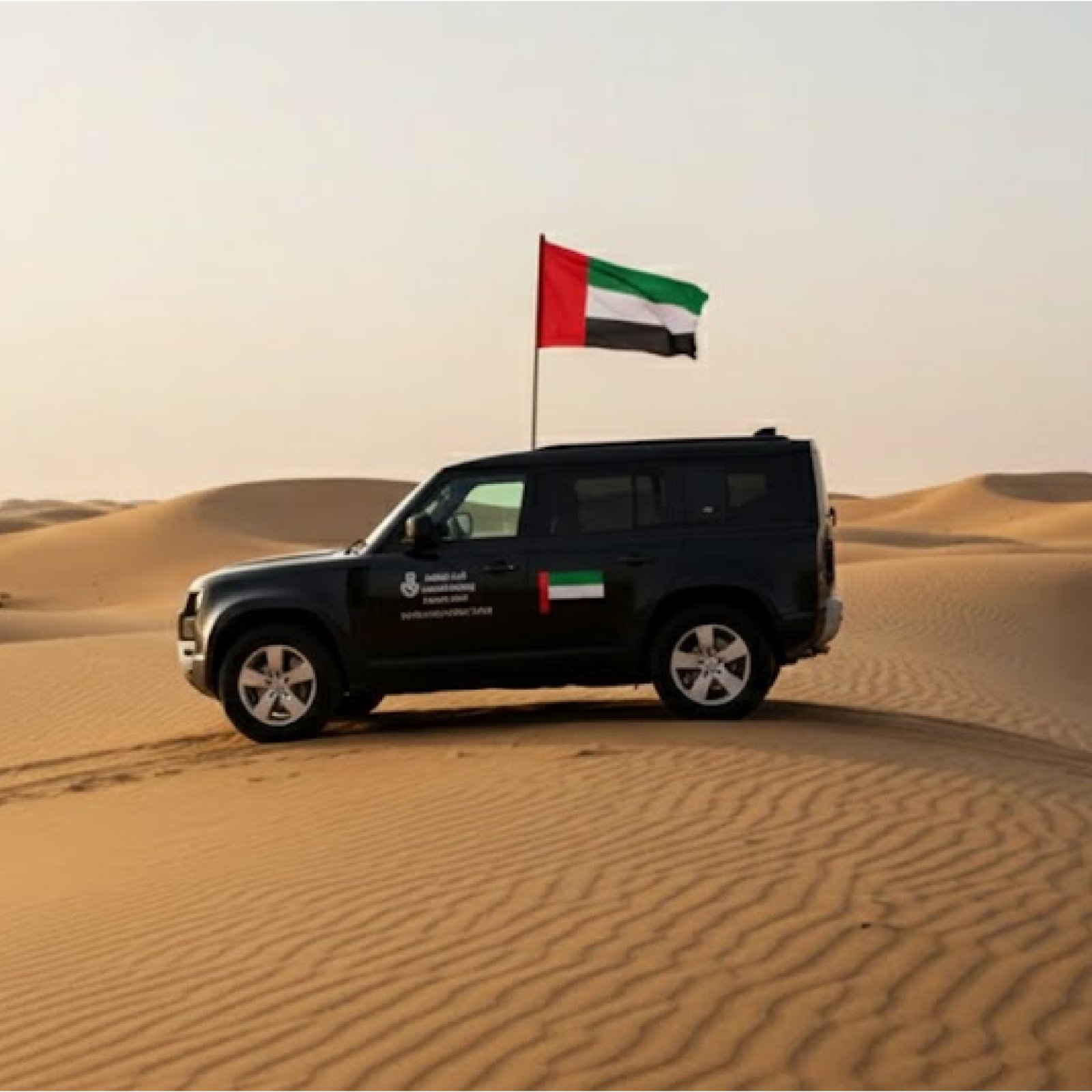 Car Desert Flags
