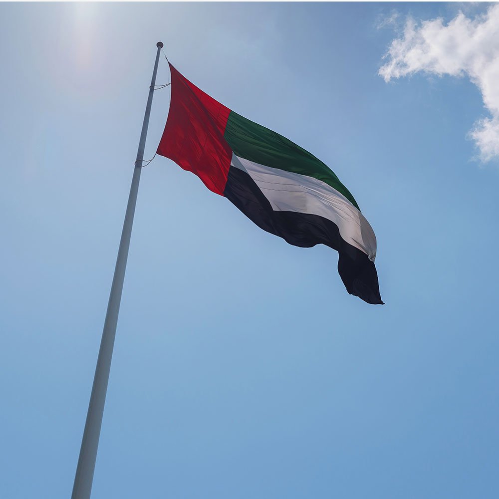 hoisting-flags View 4